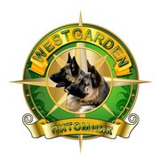 Племенной питомник v. WestGarden предлагает щенков немецкой овчарки!