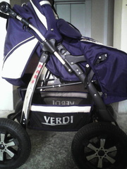 Детская коляска-трансформер Mark Verdi