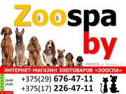 Интернет-магазин зоотоваров «ЗооСпа»