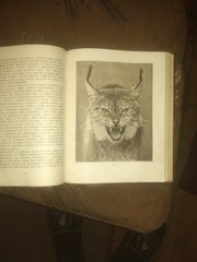 книга Московский зоопарк 1949г тираж 10 000 