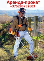 Аренда триммера STIHL FS 250