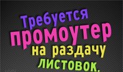 Подработка для школьников/студентов 10-11 ноября